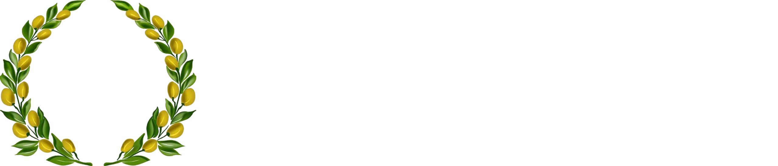 Übersetzungs und Dienstleistungs Zentrum